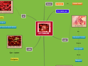 La Sangre Mind Map